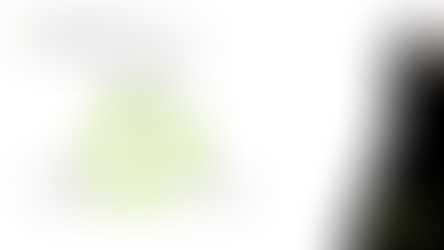 Politik auf TikTok_Online-Vortrag