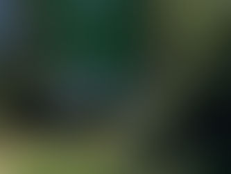 A (very) short introduction to travel in Chile