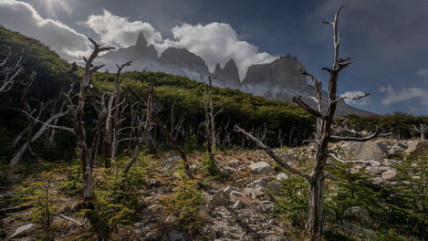 Torres del Paine national park