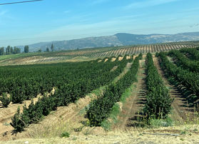 From Santiago to Pucón.