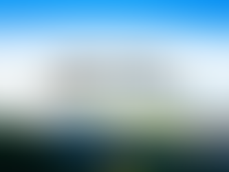 鳥栖市で効率的に庭の草刈りをする方法