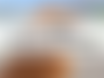 ペットの最期に飼い主ができることは?死の前に見せる行動や兆候も解説