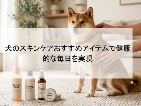犬のスキンケアおすすめアイテムで健康的な毎日を実現