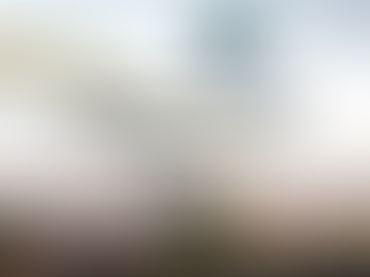 大阪のドッグカフェを愛犬と楽しむための完全ガイド