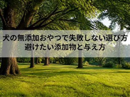 犬の無添加おやつで失敗しない選び方|避けたい添加物と与え方