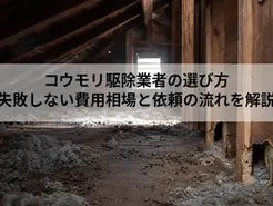 コウモリ駆除業者の選び方｜失敗しない費用相場と依頼の流れを解説