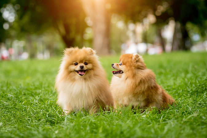 AdobeStock_379124692.jpeg
