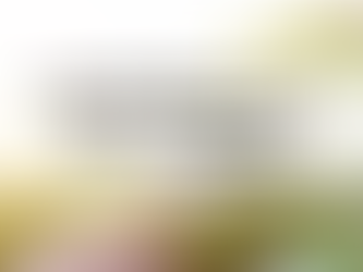 庭の剪定業者選びガイド｜失敗しない業者選定のポイントと料金相場