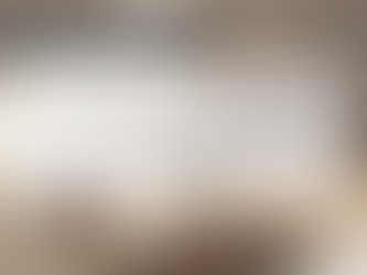 ネズミが嫌がるコーヒーかすの実態と効果的活用法