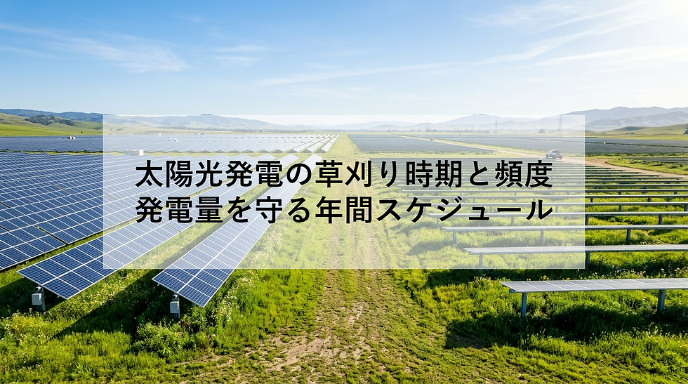 太陽光発電の草刈り時期と頻度|発電量を守る年間スケジュール