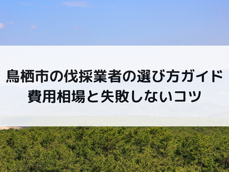 鳥栖市の伐採業者の選び方ガイド｜費用相場と失敗しないコツ