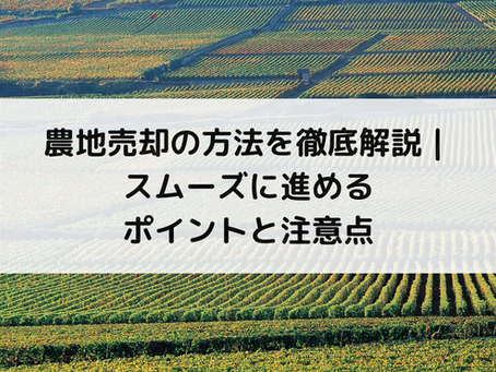 農地売却の方法を徹底解説|スムーズに進めるポイントと注意点