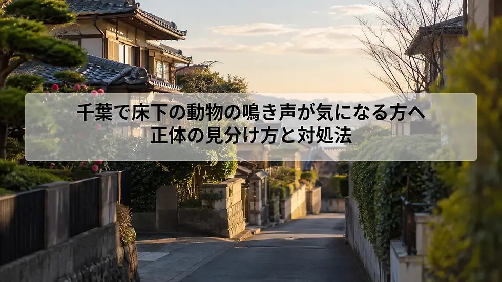 千葉で床下の動物の鳴き声が気になる方へ|正体の見分け方と対処法