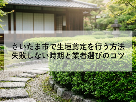 さいたま市で生垣剪定を行う方法|失敗しない時期と業者選びのコツ