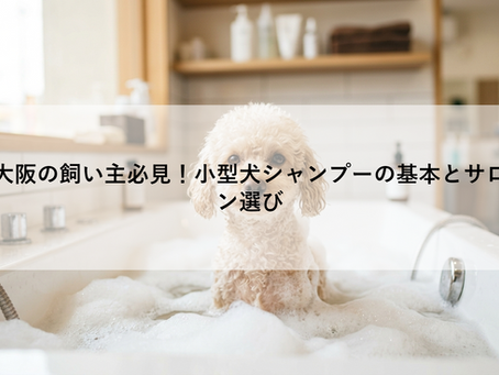 大阪の飼い主必見！小型犬シャンプーの基本とサロン選び