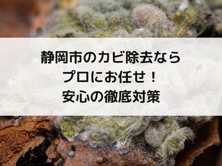 静岡市のカビ除去ならプロにお任せ！安心の徹底対策