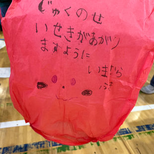 IMG_2205.jpeg