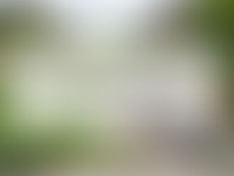 除草の種類とそのメリットを解説|効果的な選び方のコツ