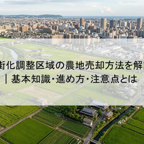 市街化調整区域の農地売却方法を解説｜基本知識・進め方・注意点とは
