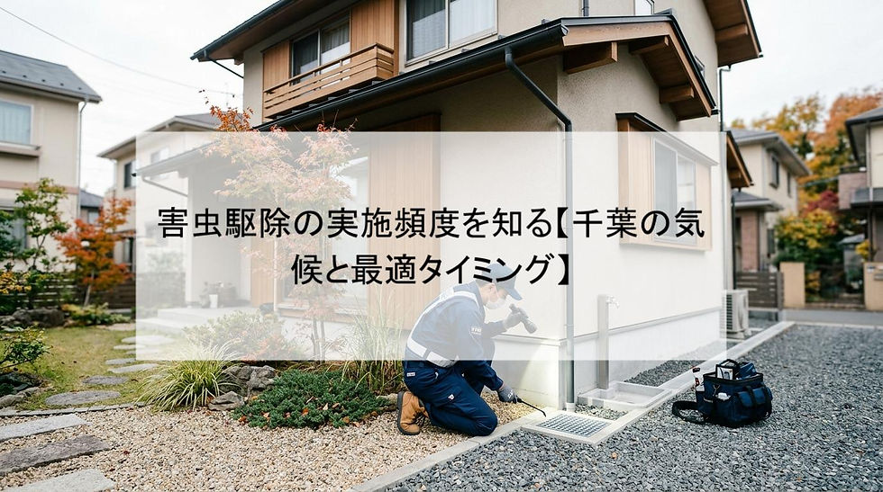 害虫駆除の実施頻度を知る【千葉の気候と最適タイミング】