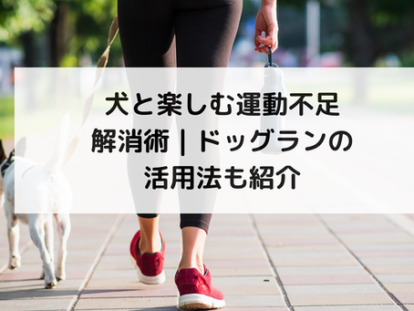 犬と楽しむ運動不足解消術｜ドッグランの活用法も紹介