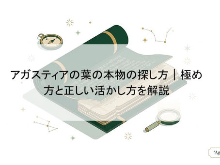 アガスティアの葉の本物の探し方|極め方と正しい活かし方を解説