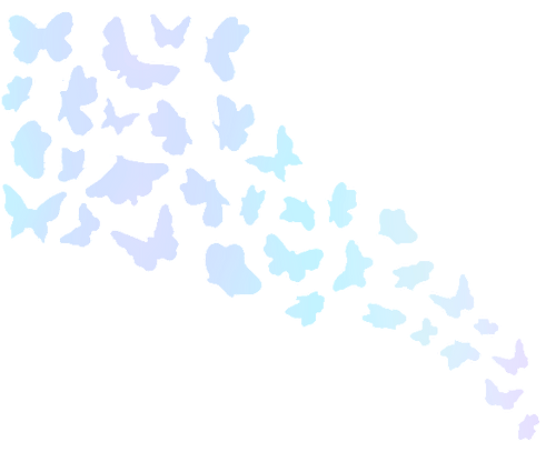 蝶背景_edited.png