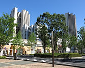 AdobeStock_249051966.jpeg