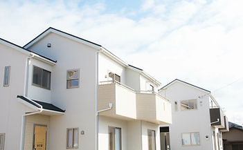 AdobeStock_79531274_edited.jpg