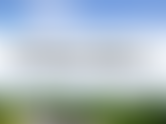 千葉で庭の手入れを頼むなら？おすすめ業者と注意点まとめ