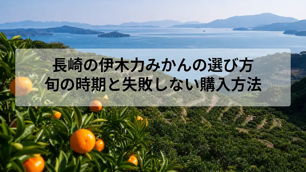 長崎の伊木力みかんの選び方｜旬の時期と失敗しない購入方法