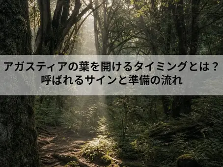 アガスティアの葉を開けるタイミングとは?|呼ばれるサインと準備の流れ