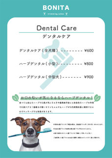 A4price_アートボード 1.jpg