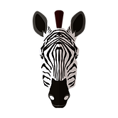 シマウマ