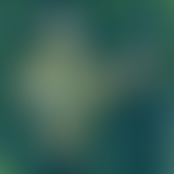 About the Indian Economy: A Beginner's Guide