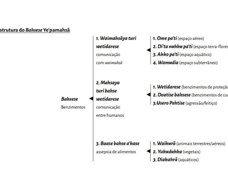 Forma e conteúdo dos bahsese Ye’pamahsã, encantamentos tukano