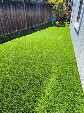 Turf.jpeg