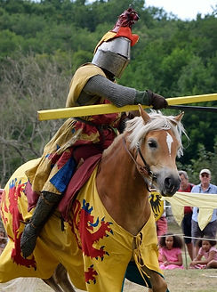 © Guerre et chevalerie 2_edited.jpg