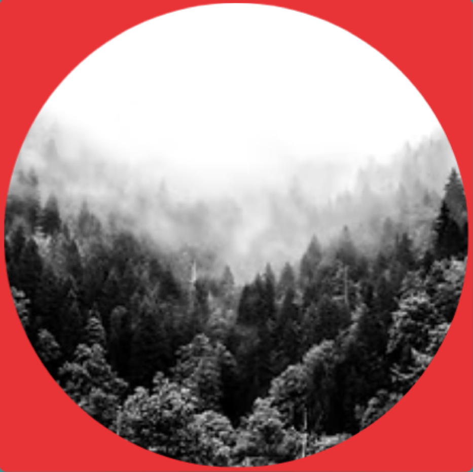 6-Month Development Package