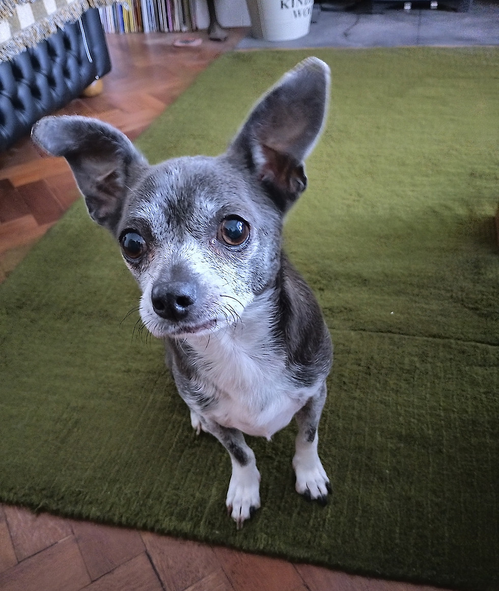This is Marty. He is an inspiration, of sorts.