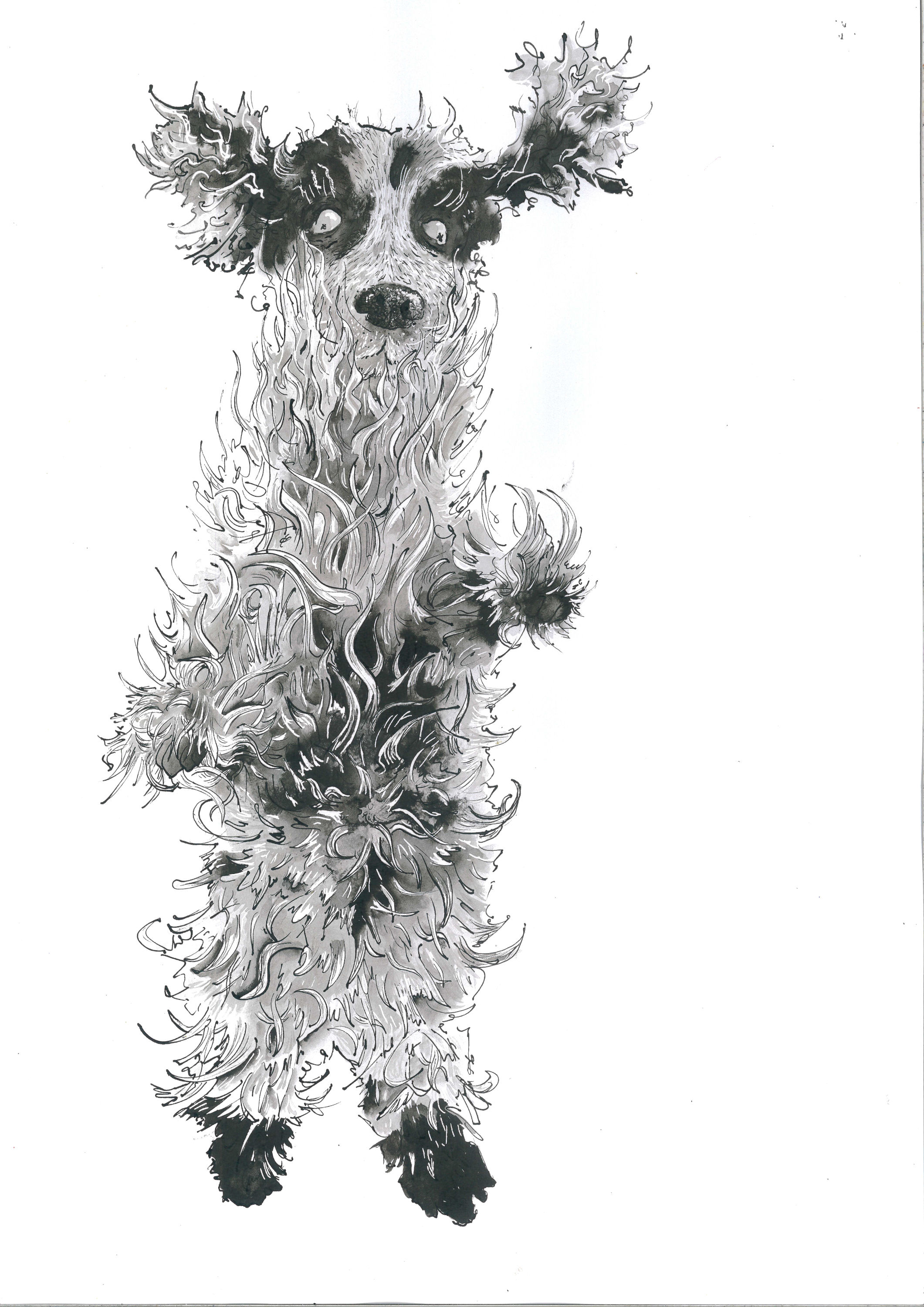 Falling dogs - set of 6 postcards