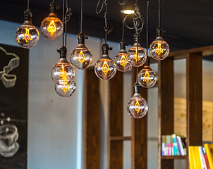 Edison Bulbs
