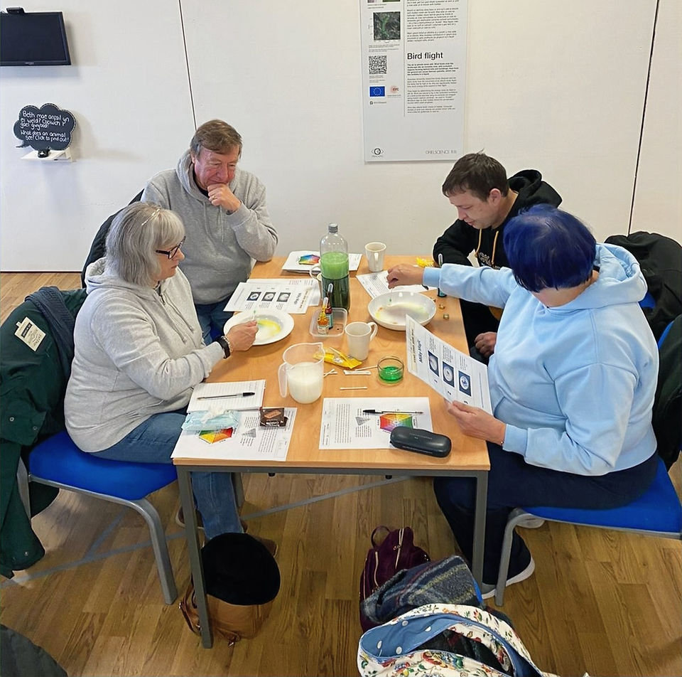 A group of four adults doing tabletop science experiments with milk and food colouring