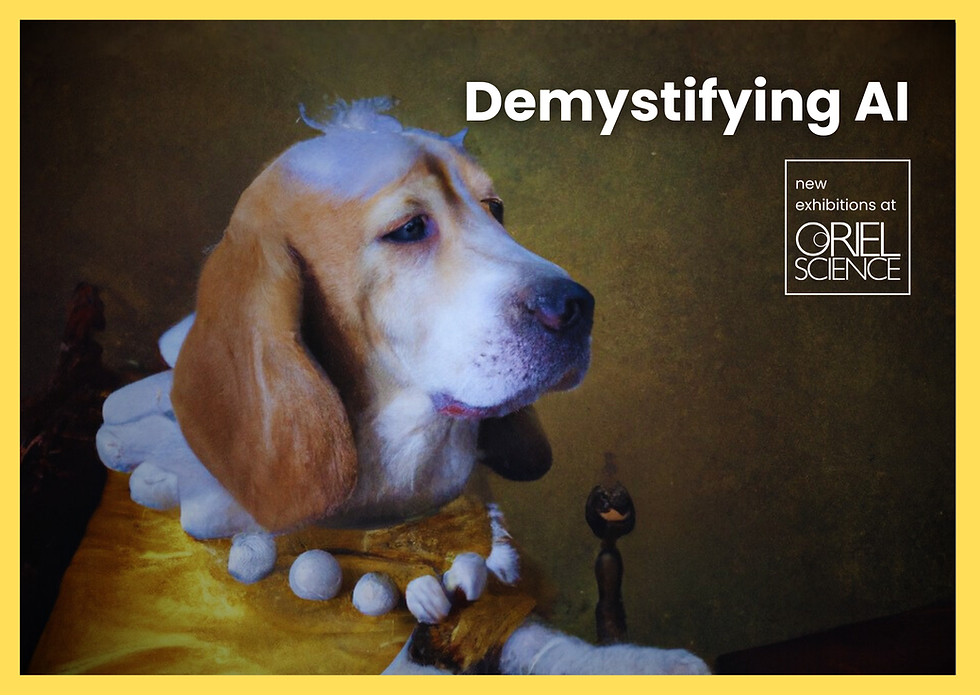 'Demystifying AI' exhibition at Oriel Science.