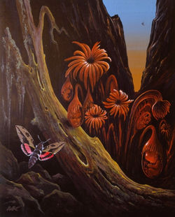 450 - Felsenspalt mit Embryofrüchten 2001 50x40