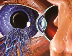 89 - Torso im Auge 1981 26x20