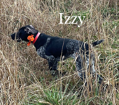 Izzy.jpg