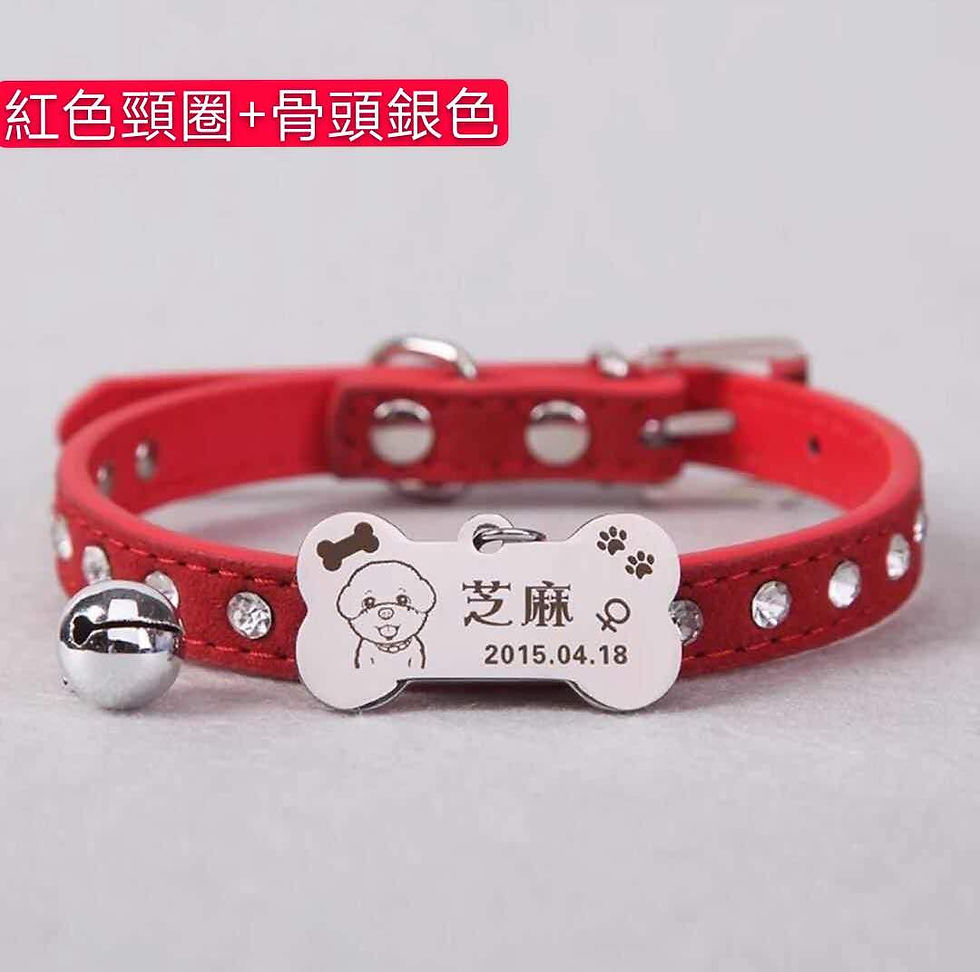 縮圖：閃鑽皮帶寵物頸圈+定制名牌+牽引帶 (預訂)