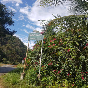 Conoce Illapani
