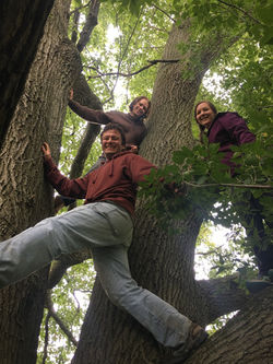 Students Climbing Trees